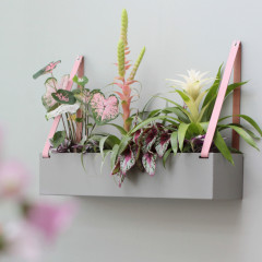 Wall planter