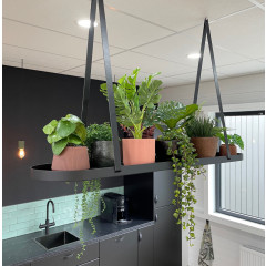 Steel plant tray - hanging from leather straps