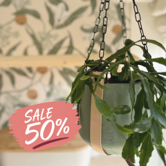 Leather plant hanger | with chains