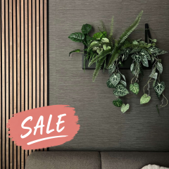 Wall planter